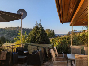 Ferienhaus Goldisthal